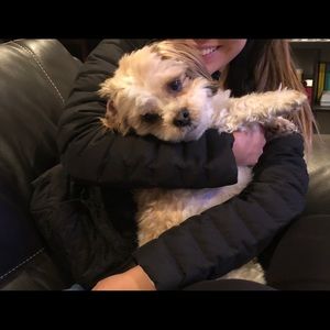 Meet your Posher, Misa